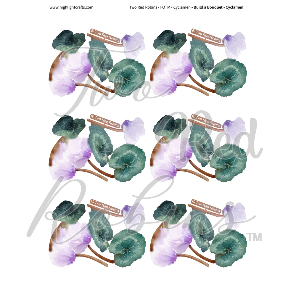 Two Red Robins Build a Bouquet Cyclamen Reflections Download 5
