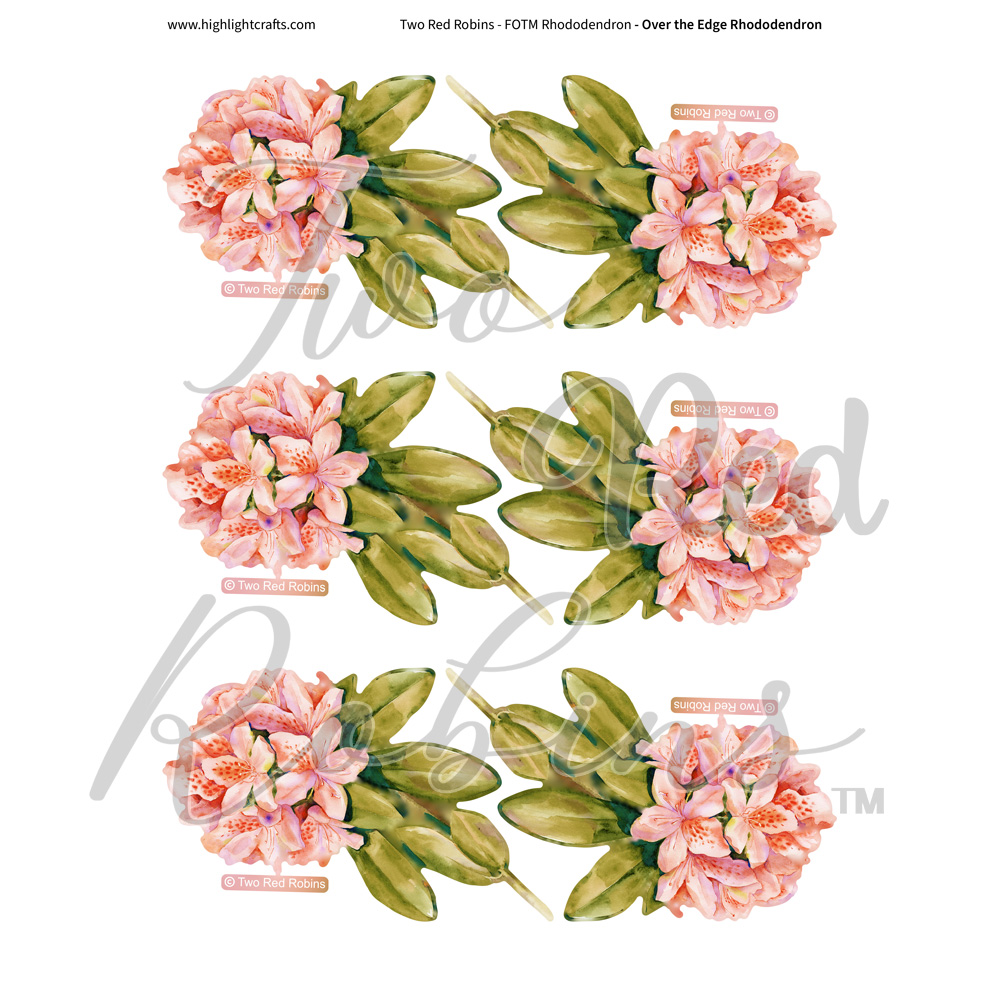 Two Red Robins Over the Edge Rhododendron Reflections Download 5
