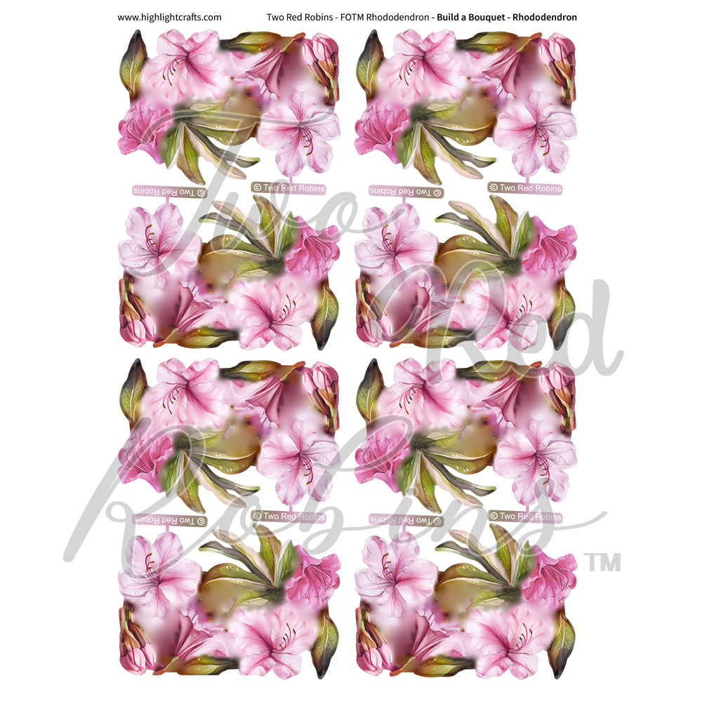 Two Red Robins Build a Bouquet Rhododendron Reflections Download 1