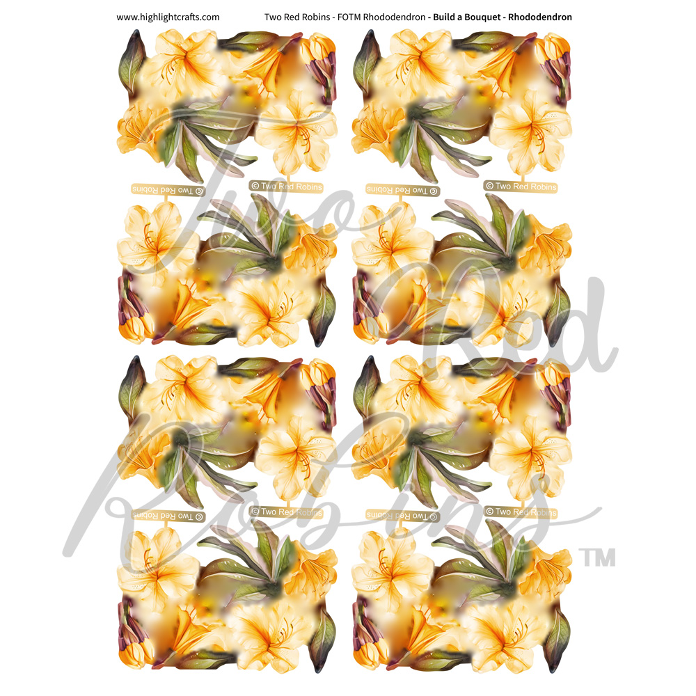 Two Red Robins Build a Bouquet Rhododendron Reflections Download 6