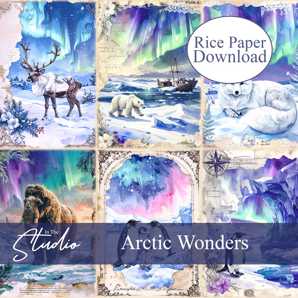In The Studio Arctic Wonders Mini Rice Paper Download