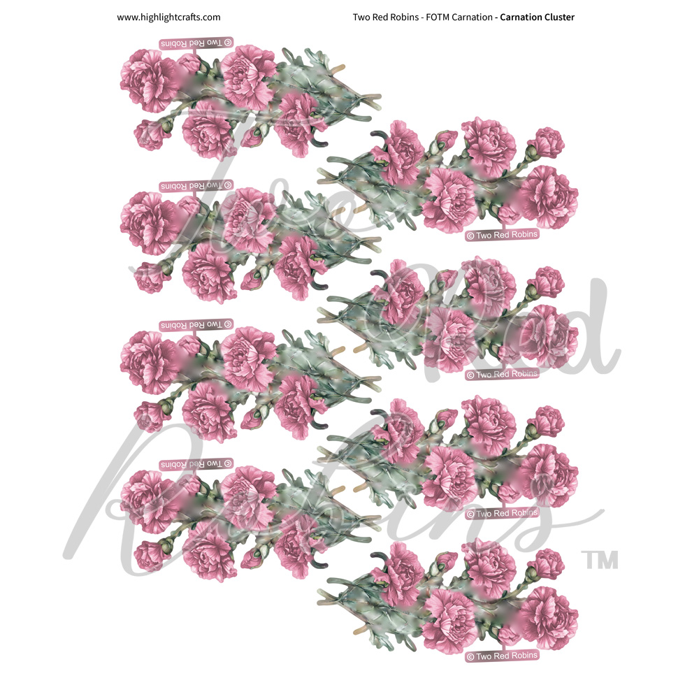 Two Red Robins Carnation Cluster Reflections Download 1
