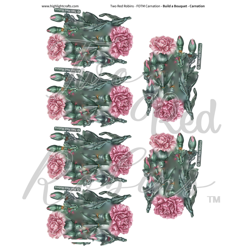 Two Red Robins Build a Bouquet Carnation Reflections Download 1