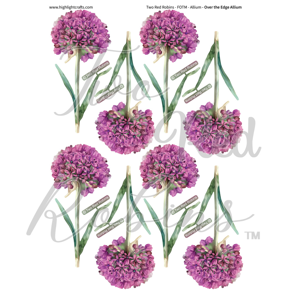 Two Red Robins Over the Edge Allium Reflections Download 3