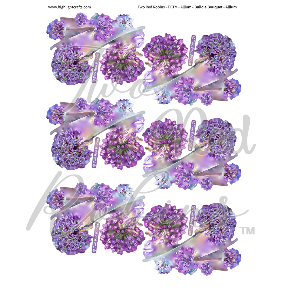 Two Red Robins Build a Bouquet Allium Reflections Download 1