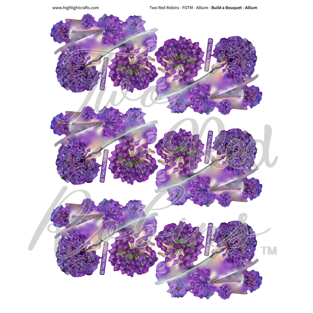 Two Red Robins Build a Bouquet Allium Reflections Download 2