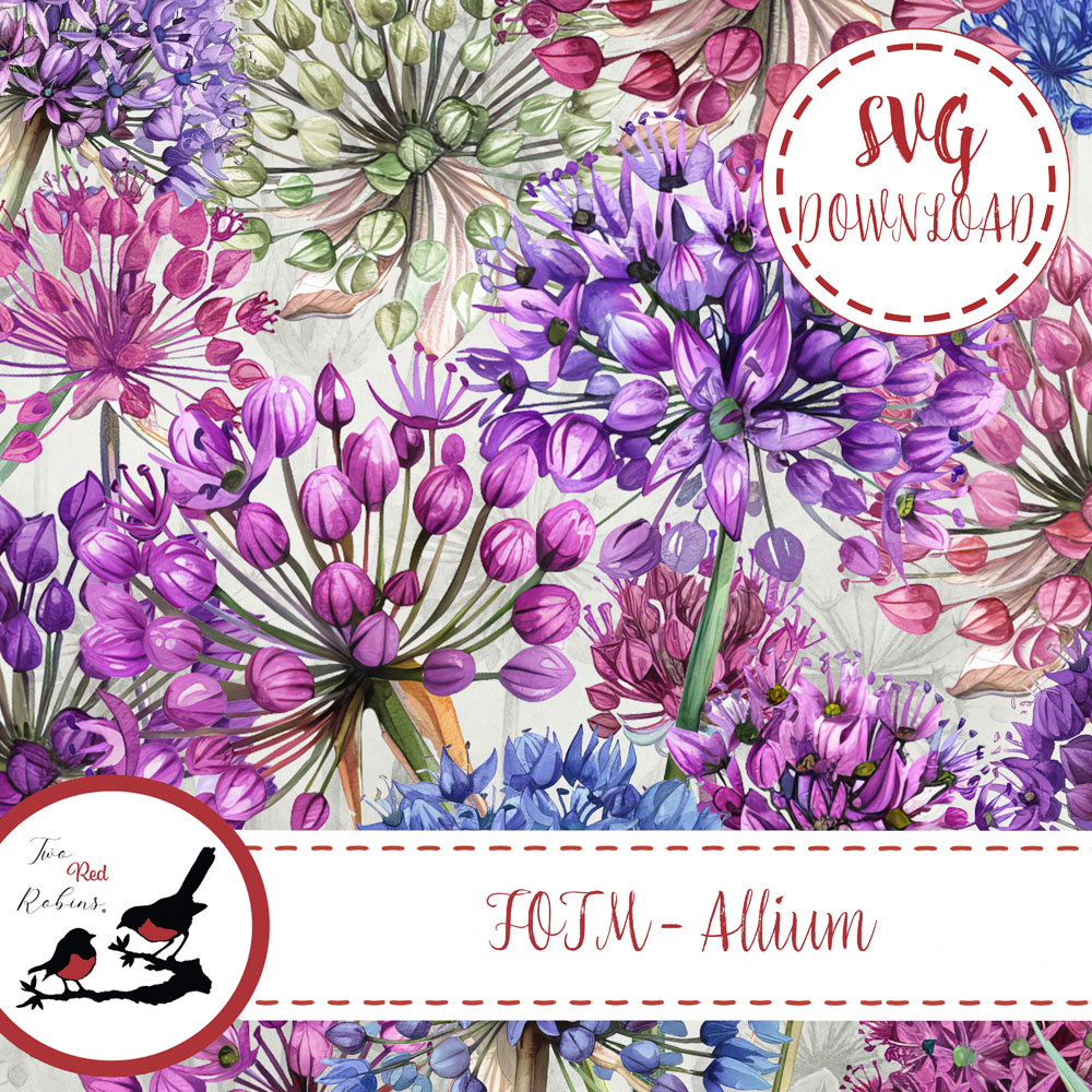 Two Red Robins Flower of the Month Allium SVG Download