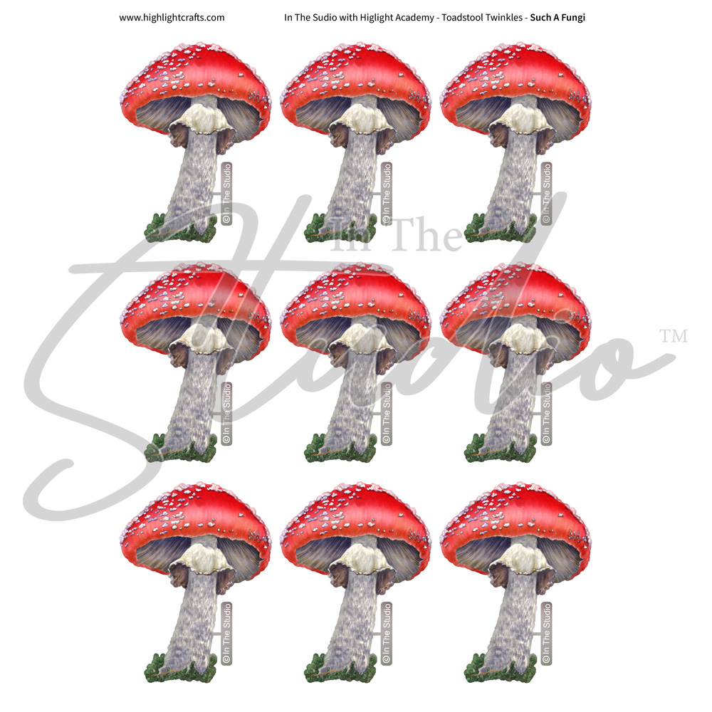 In The Studio Such a Fungi Reflections Download 1