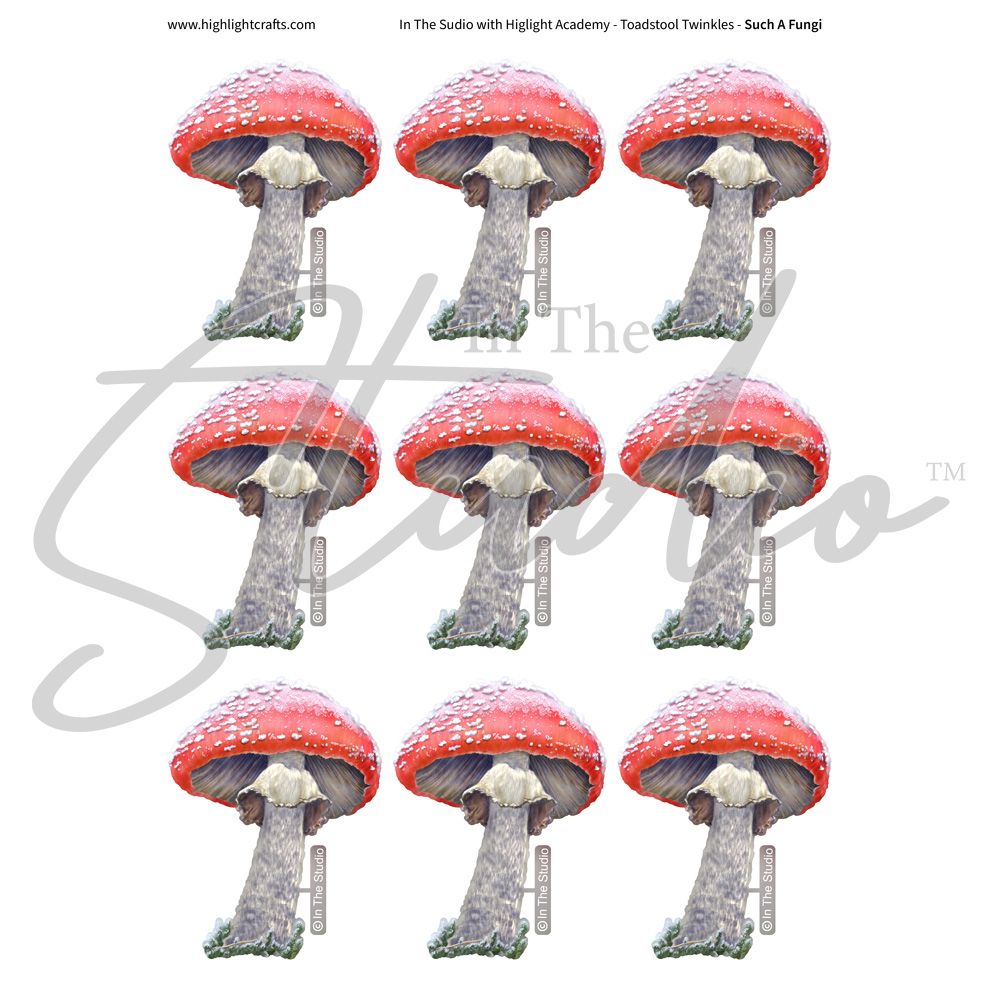 In The Studio Such a Fungi Reflections Download 2