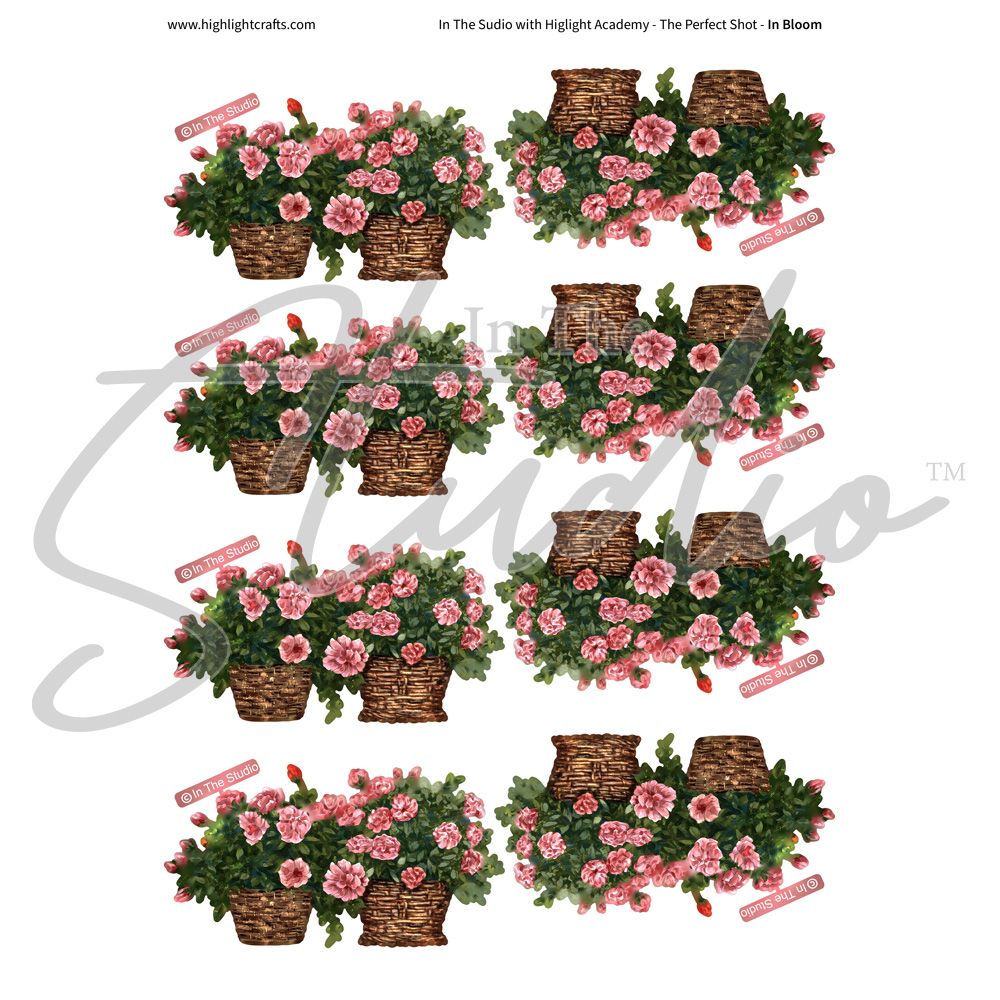 In The Studio In Bloom Reflections Download 1