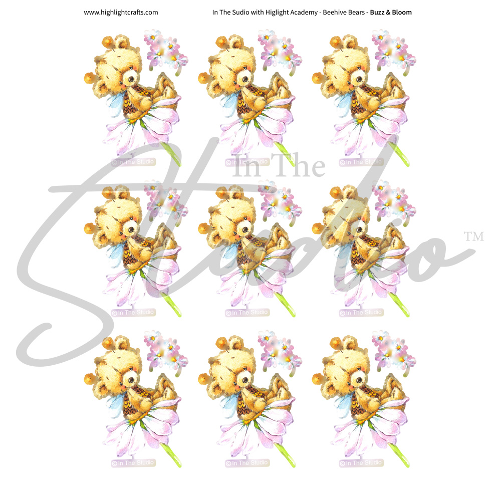 In The Studio Buzz & Bloom Reflections Download 2