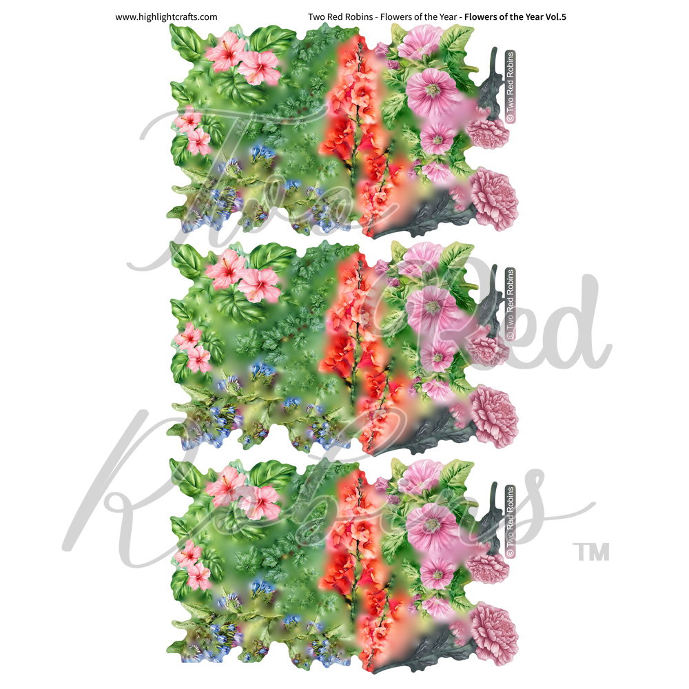 Two Red Robins Flowers of the Year Vol 5 Reflections Download 1