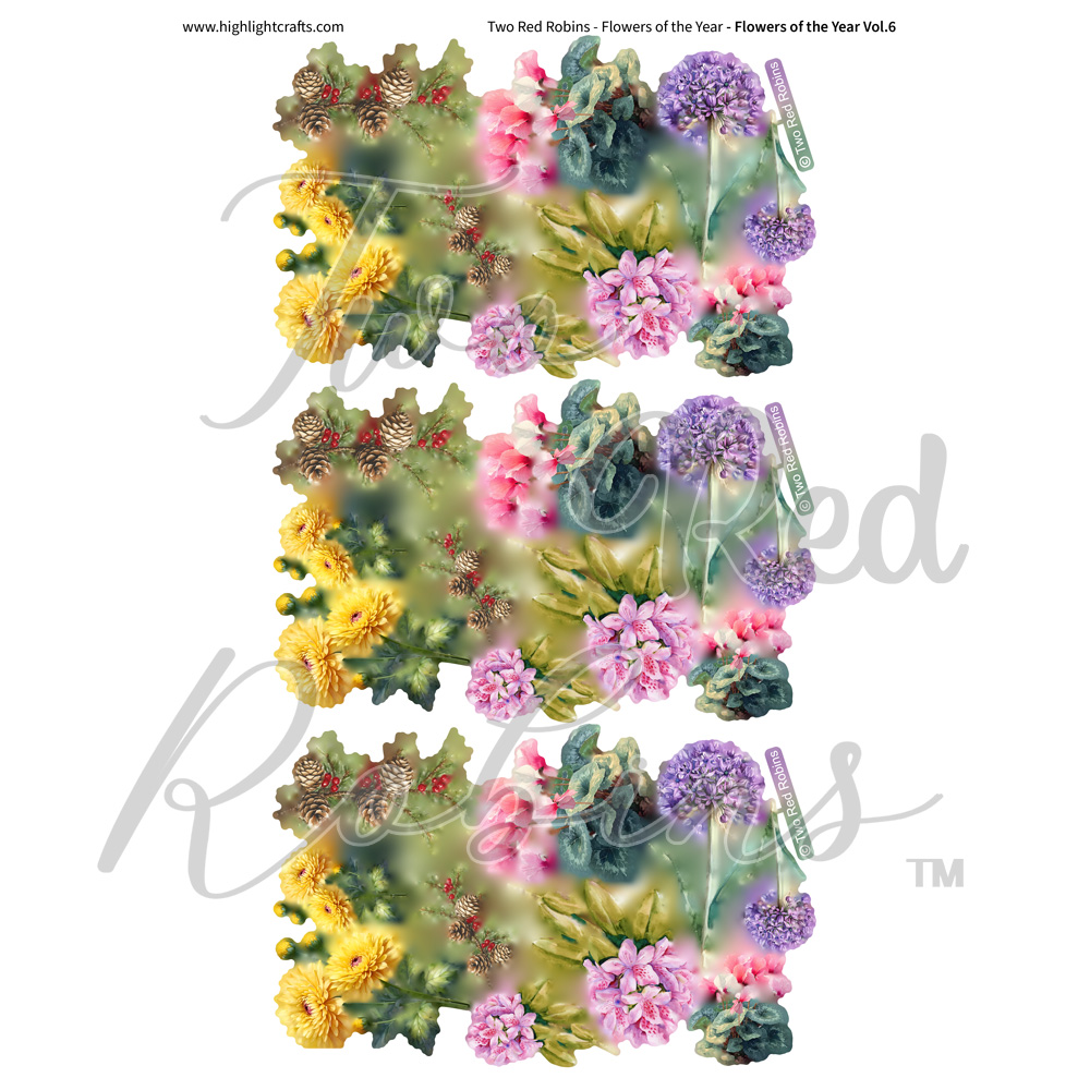 Two Red Robins Flowers of the Year Vol 6 Reflections Download 1