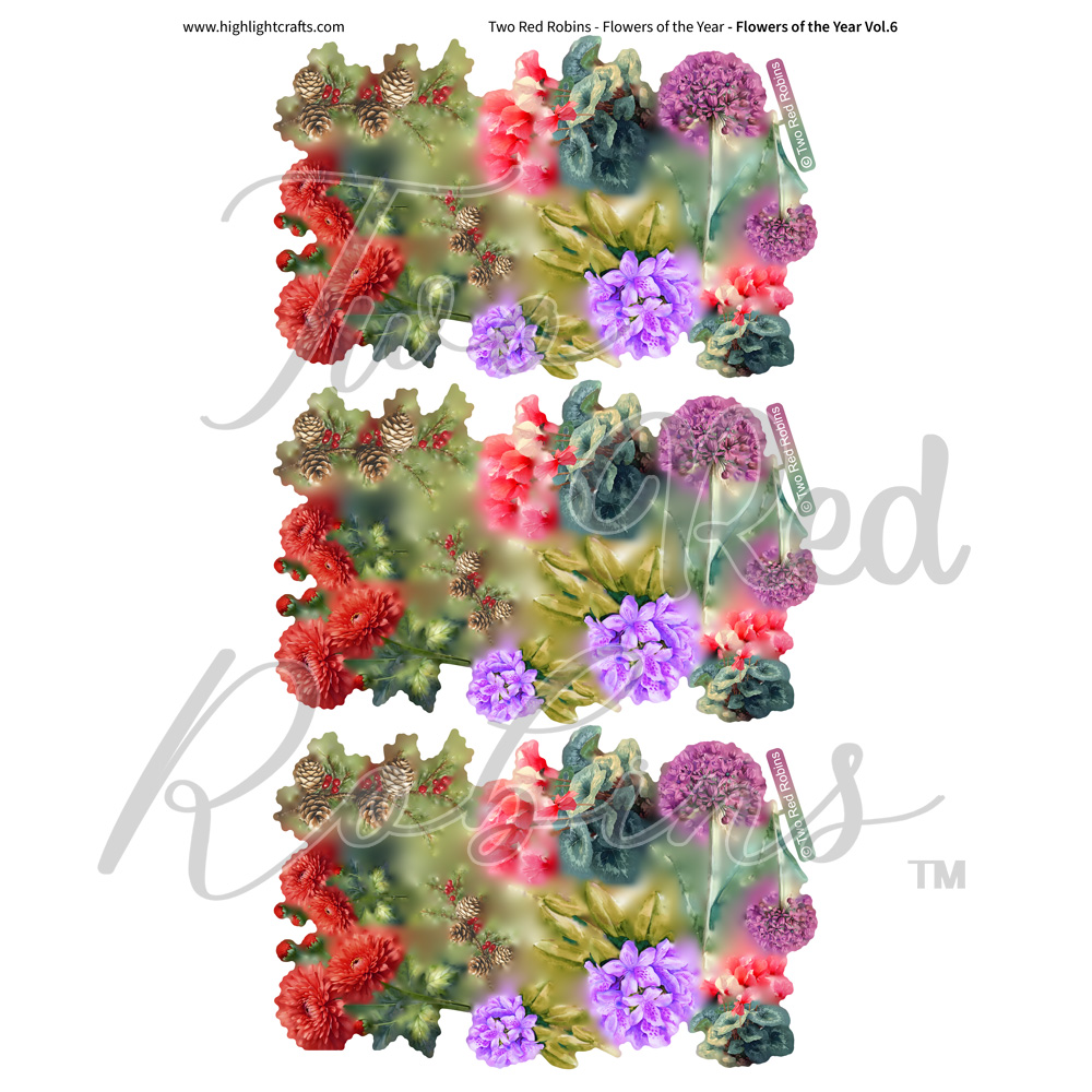 Two Red Robins Flowers of the Year Vol 6 Reflections Download 3