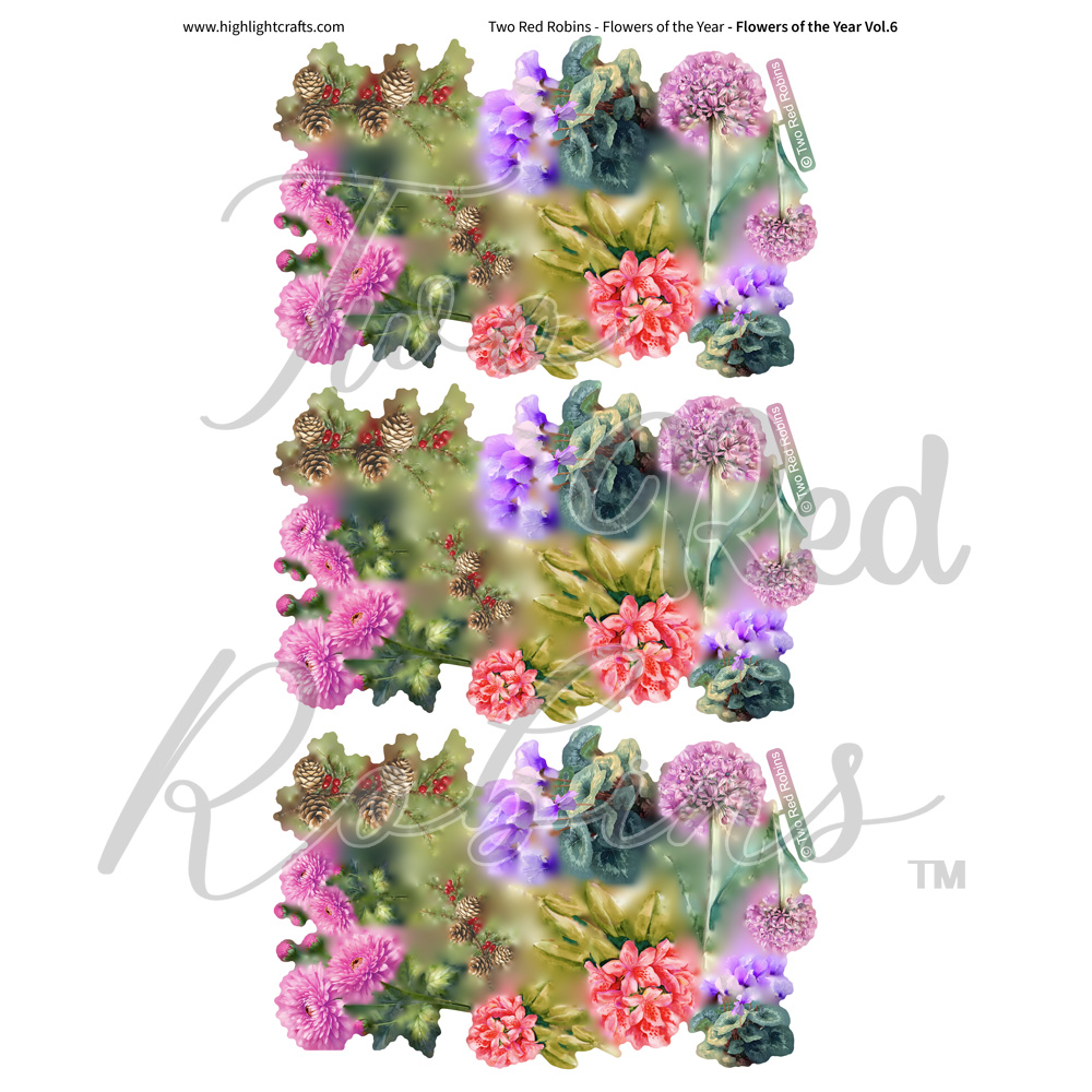 Two Red Robins Flowers of the Year Vol 6 Reflections Download 4