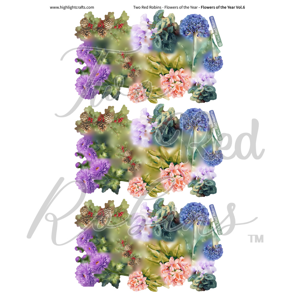 Two Red Robins Flowers of the Year Vol 6 Reflections Download 5