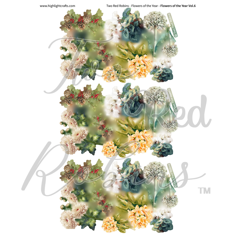 Two Red Robins Flowers of the Year Vol 6 Reflections Download 6