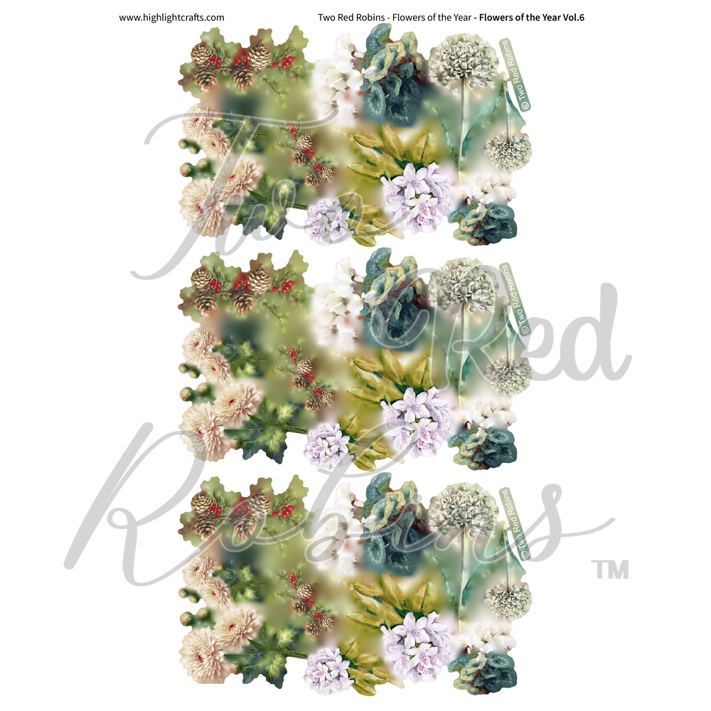 Two Red Robins Flowers of the Year Vol 6 Reflections Download 7