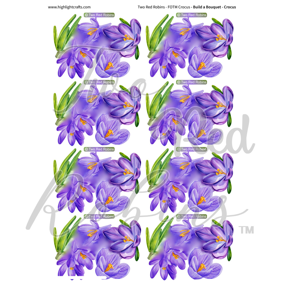 Two Red Robins Build a Bouquet Crocus Reflections Download 1
