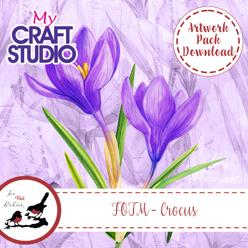 Two Red Robins Flower of the Month Crocus Artwork Pack Download