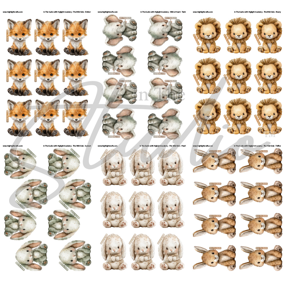 In The Studio The Wild Side Reflections Download Bundle