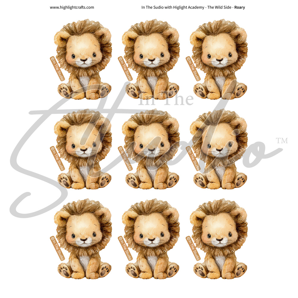 In The Studio Roary Reflections Download