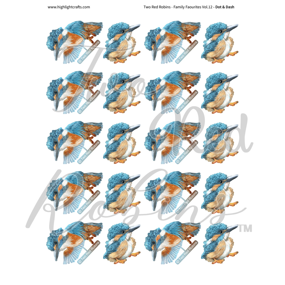 Two Red Robins Dot & Dash Reflections Download