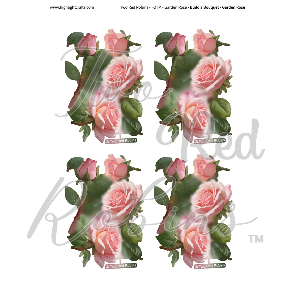 Two Red Robins Build a Bouquet Garden Rose Reflections Download 1