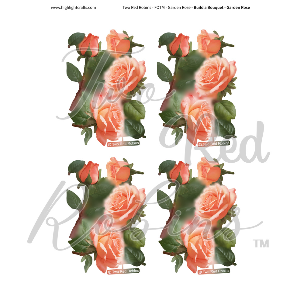 Two Red Robins Build a Bouquet Garden Rose Reflections Download 3