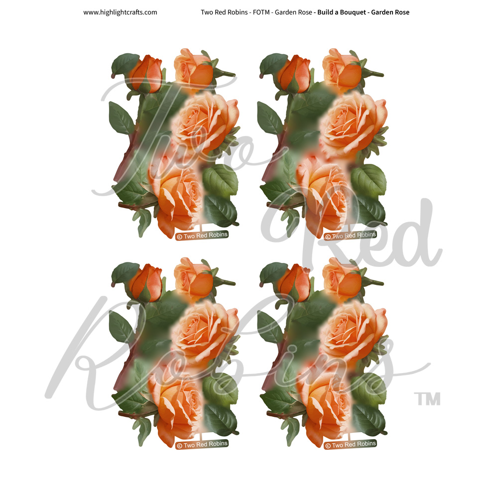 Two Red Robins Build a Bouquet Garden Rose Reflections Download 4