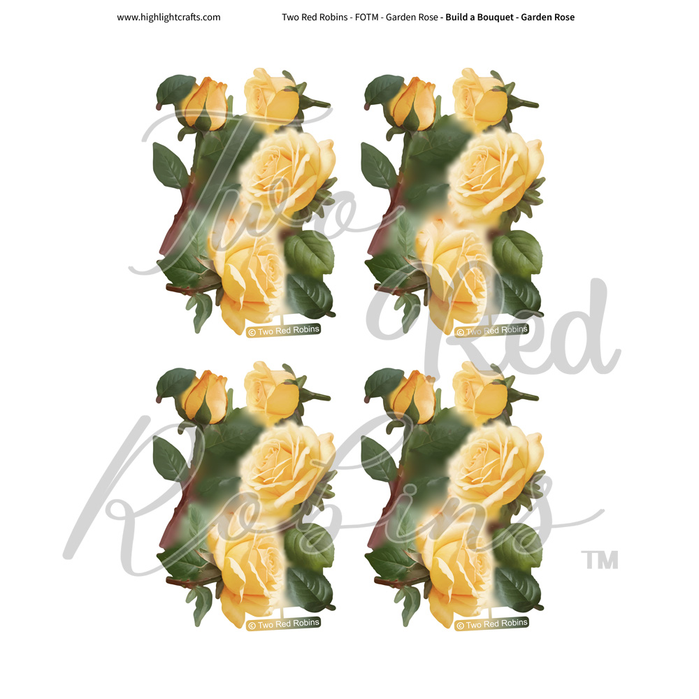 Two Red Robins Build a Bouquet Garden Rose Reflections Download 5