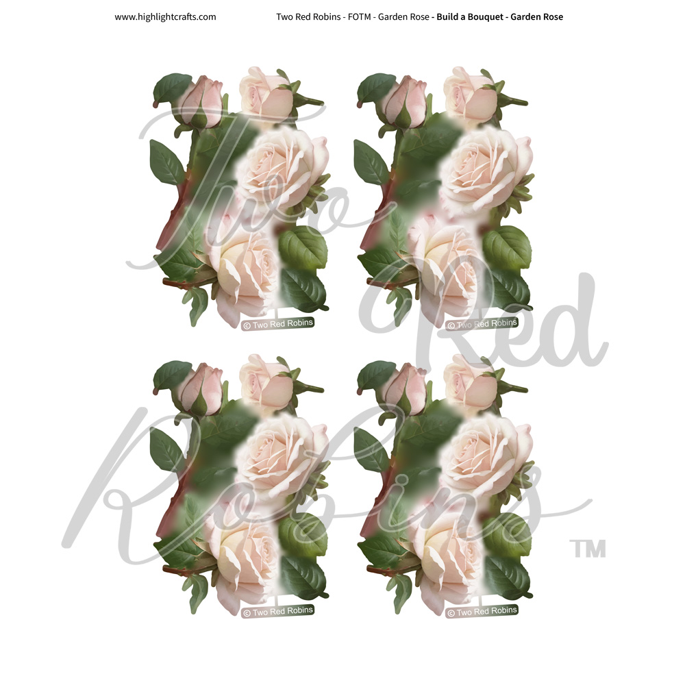 Two Red Robins Build a Bouquet Garden Rose Reflections Download 6