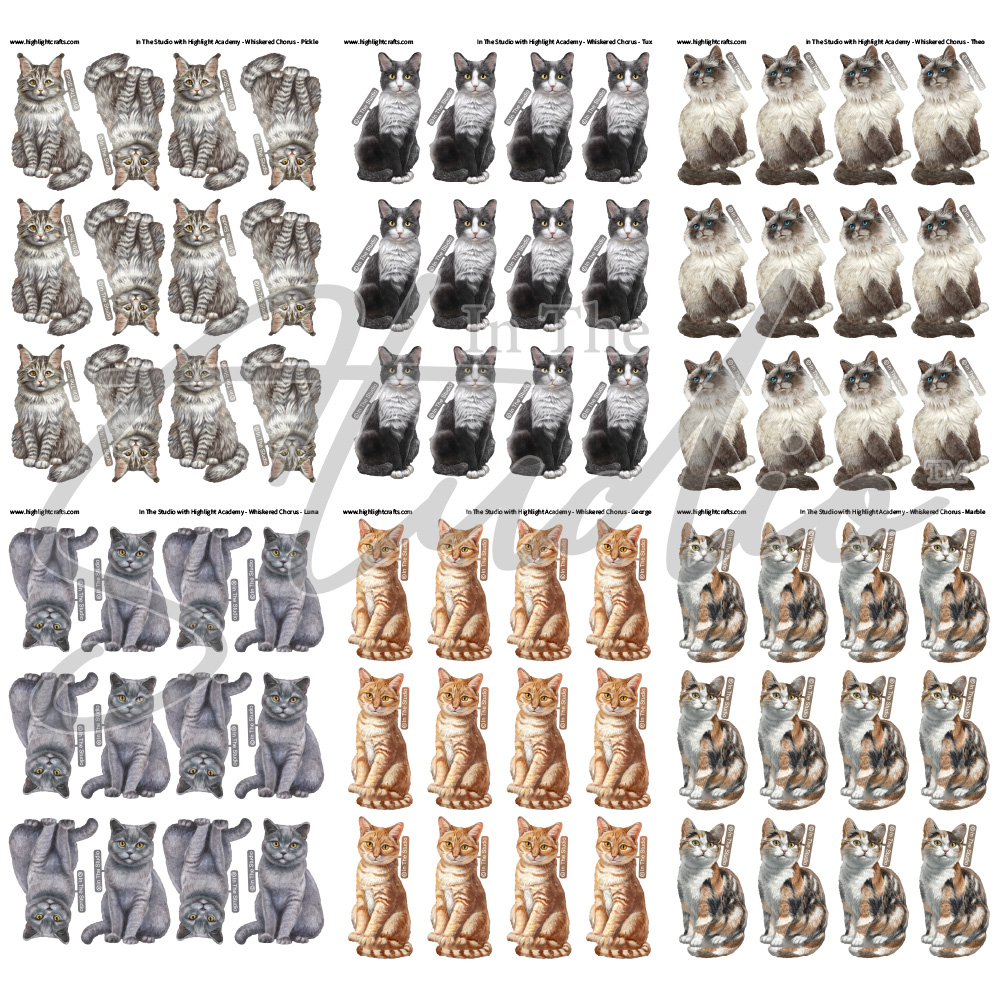 In The Studio Whiskered Chorus Reflections Free Download Bundle