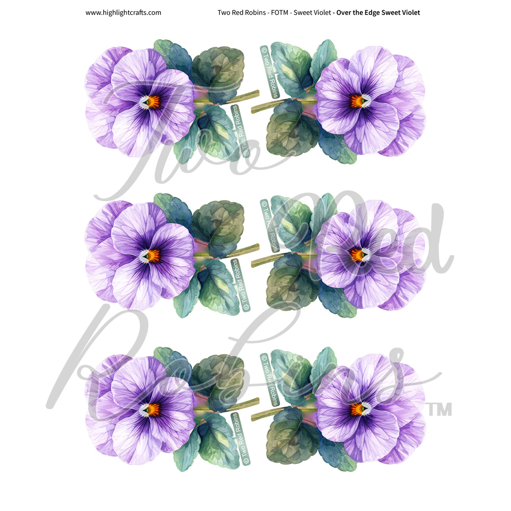 Two Red Robins Over the Edge Sweet Violets Reflections Download 2