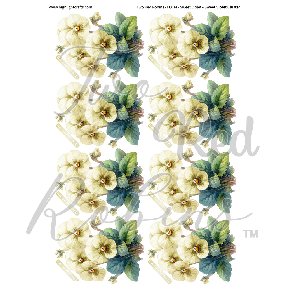 Two Red Robins Sweet Violet Cluster Reflections Download 6