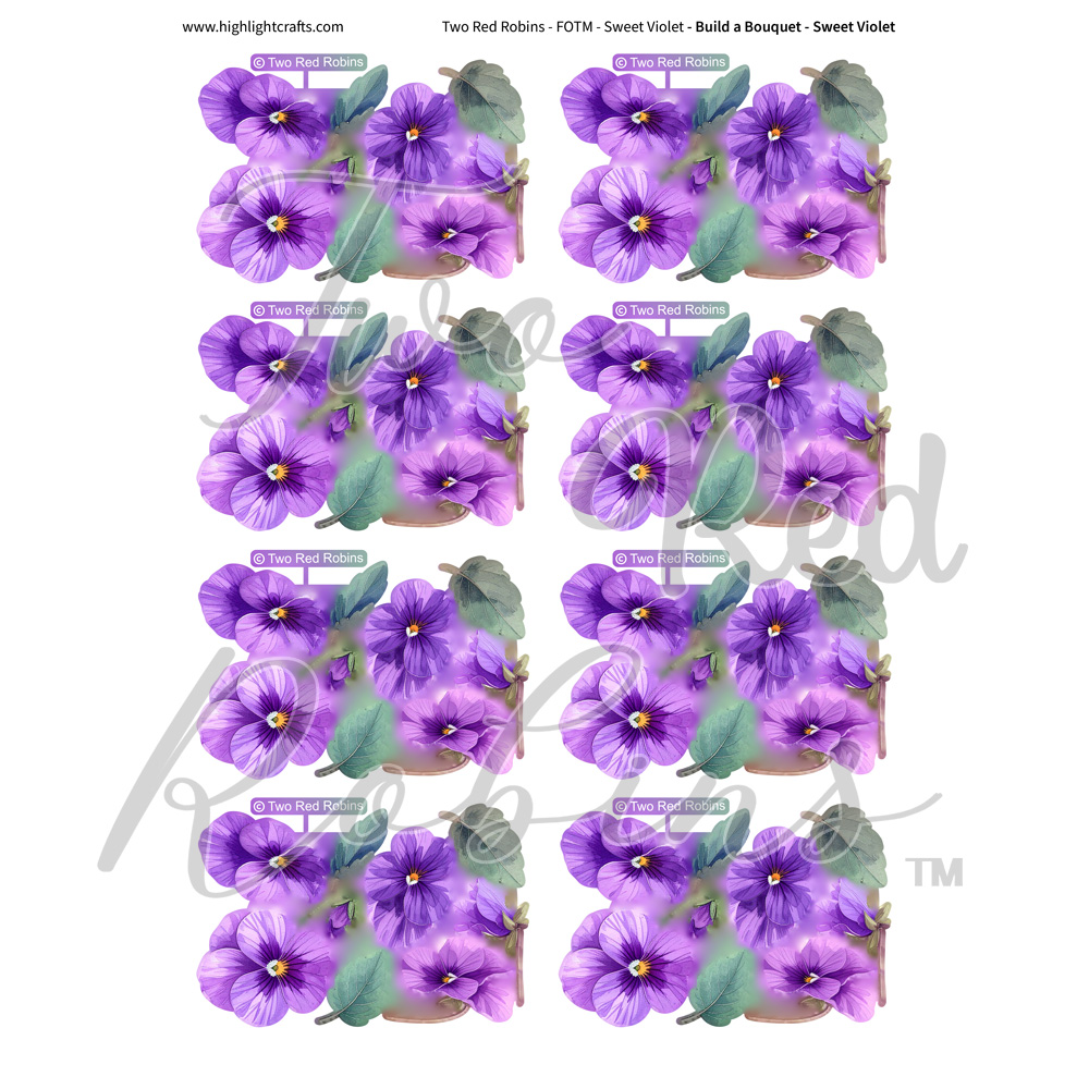 Two Red Robins Build a Bouquet Sweet Violets Reflections Download 3