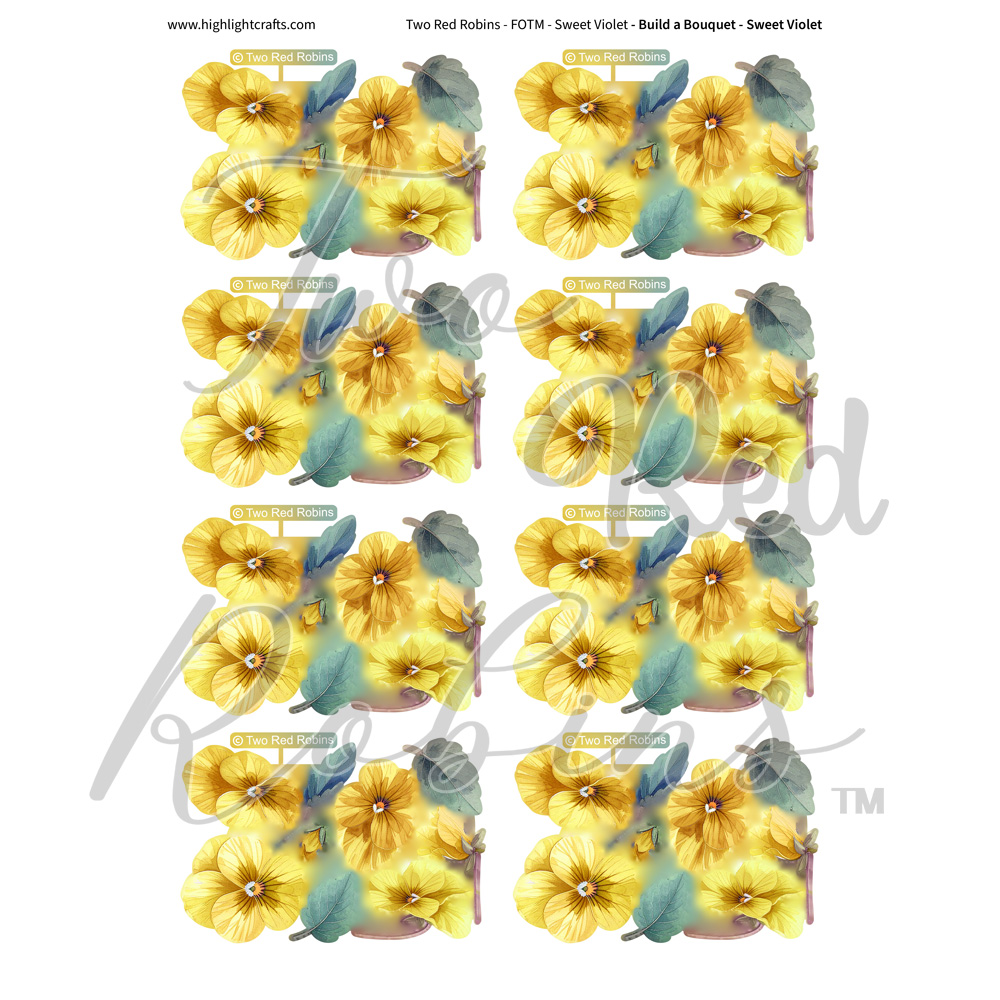 Two Red Robins Build a Bouquet Sweet Violets Reflections Download 5