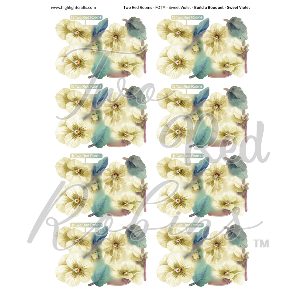 Two Red Robins Build a Bouquet Sweet Violets Reflections Download 6