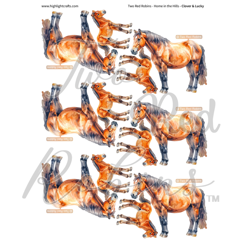 Two Red Robins Clover & Lucky Reflections Download 1