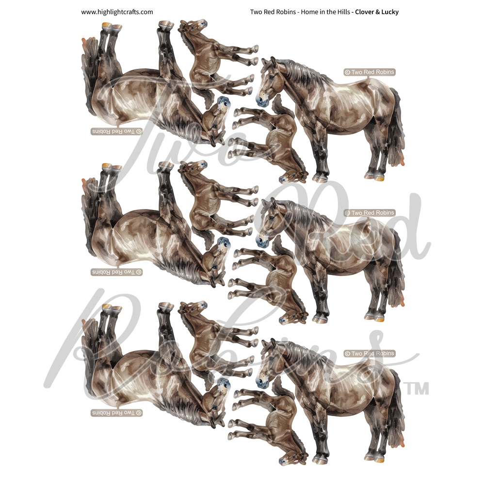 Two Red Robins Clover & Lucky Reflections Download 2