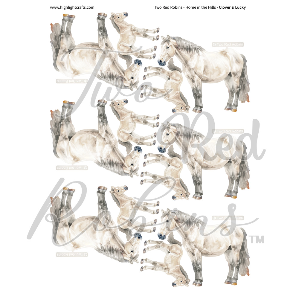 Two Red Robins Clover & Lucky Reflections Download 3