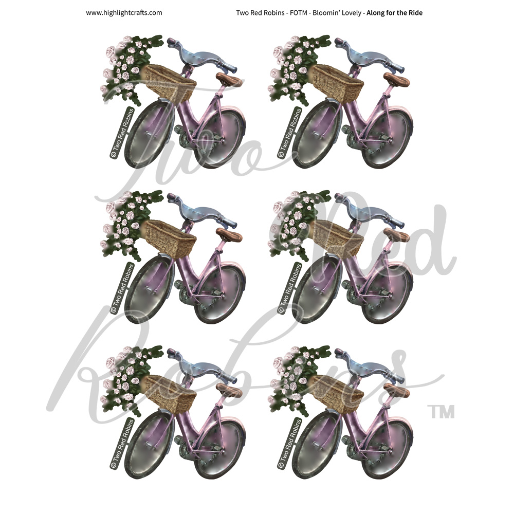 Two Red Robins Along for the Ride Reflections Download 2