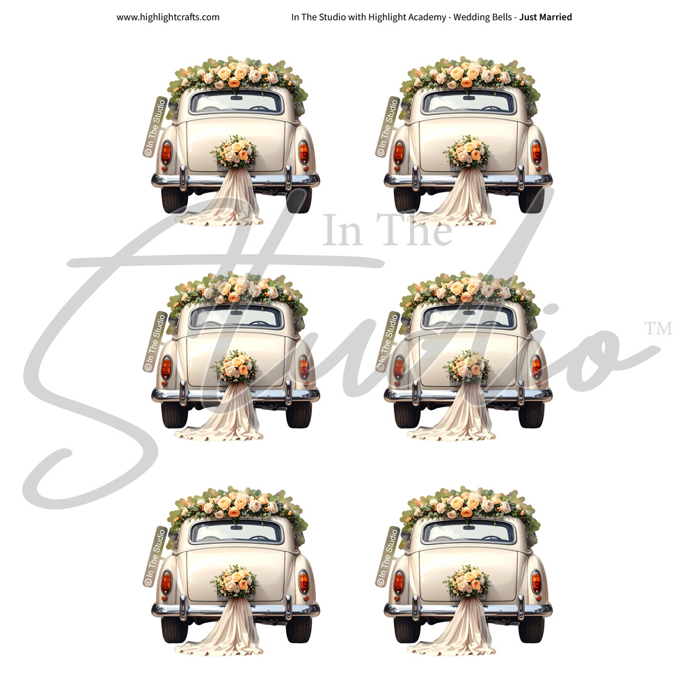 In The Studio Just Married Reflections Download 2
