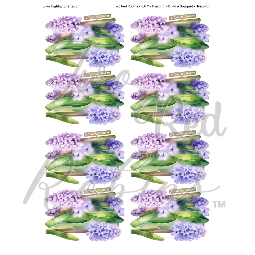 Two Red Robins Build a Bouquet Hyacinth Reflections Download 2