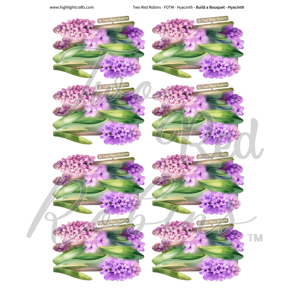 Two Red Robins Build a Bouquet Hyacinth Reflections Download 3