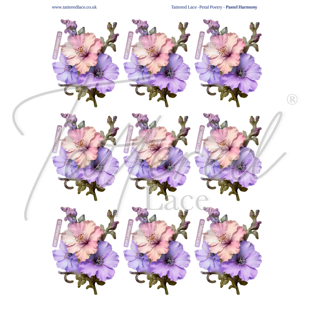 Tattered Lace Pastel Harmony Charisma Download 2