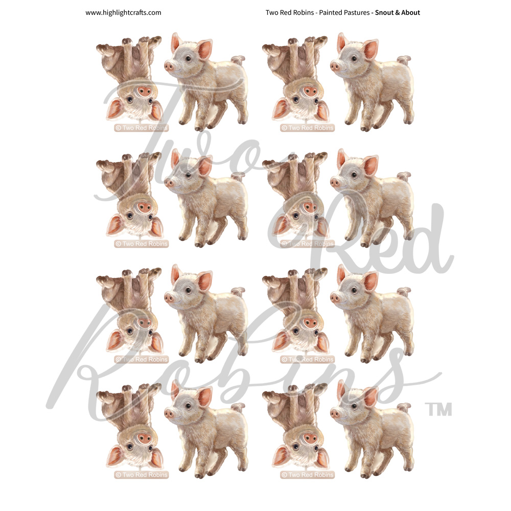 Two Red Robins Snout & About Reflections Download