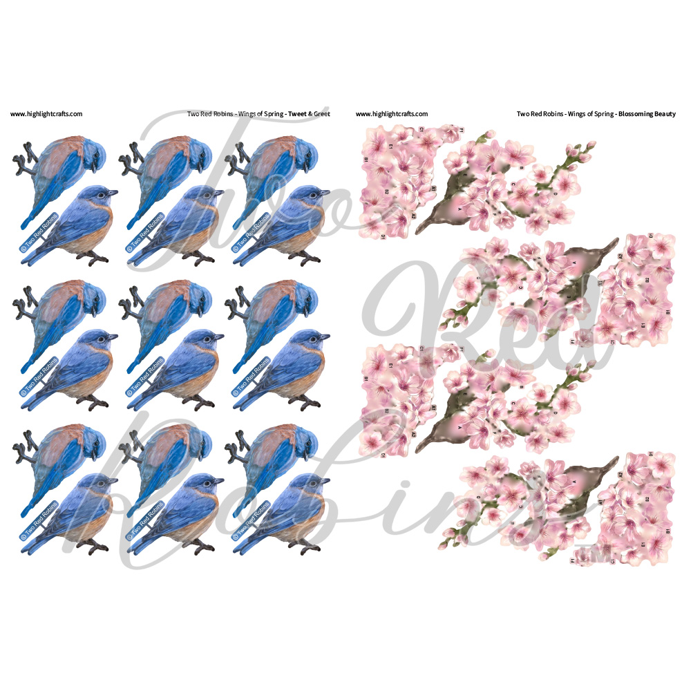 Two Red Robins Wings of Spring Reflections Free Download Bundle