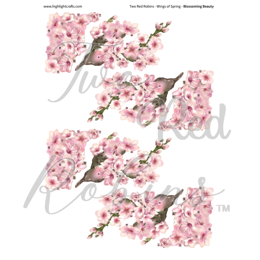 Two Red Robins Blossoming Beauty Reflections Download 1