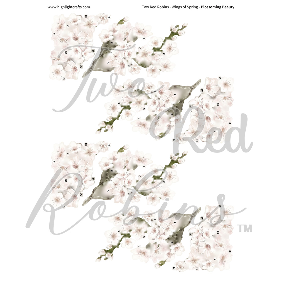 Two Red Robins Blossoming Beauty Reflections Download 2